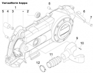 Variaattorin koppa